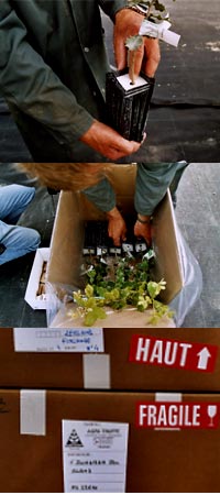 logistique